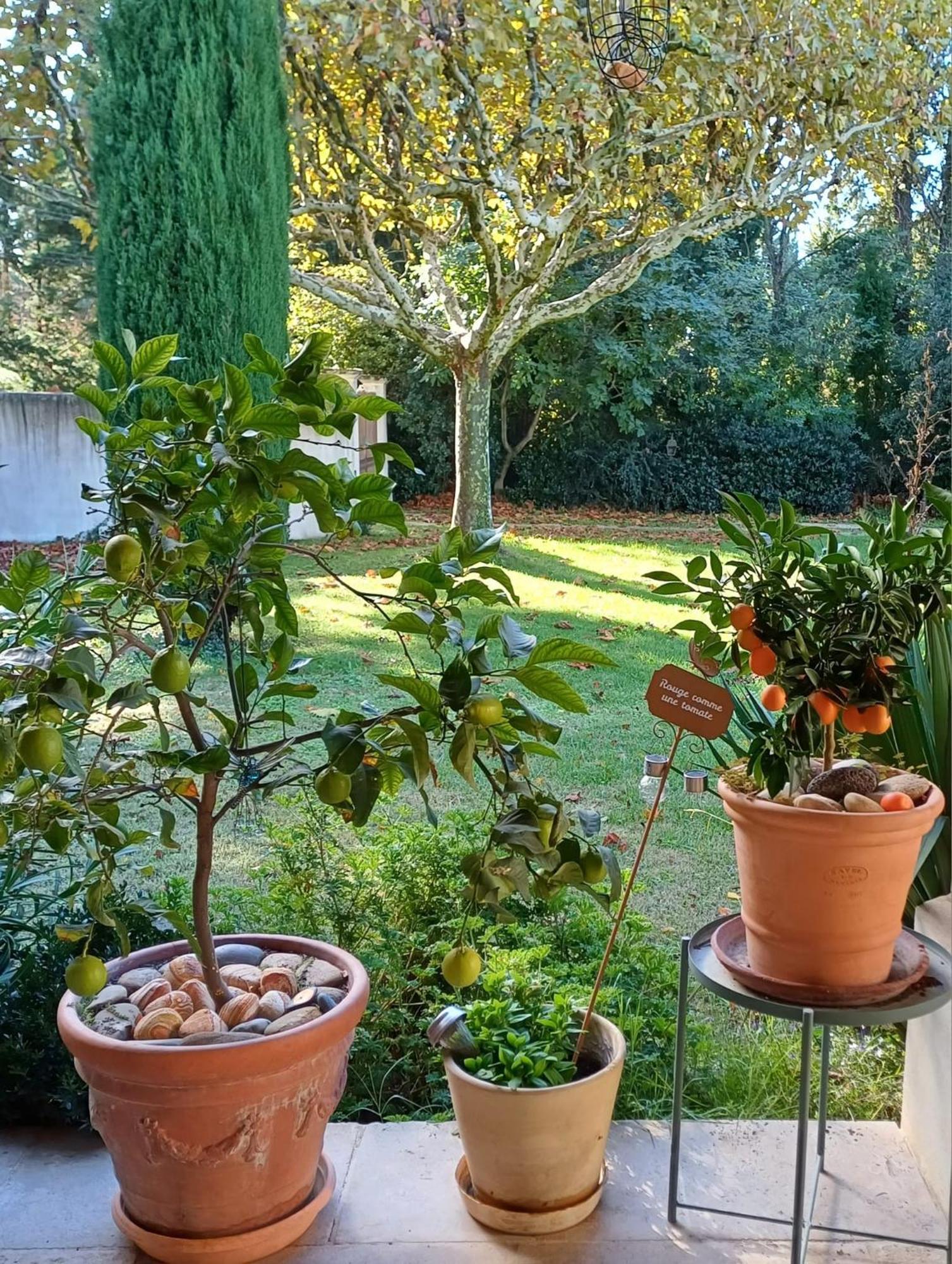 Cabannes La Goutadou Bed & Breakfast エクステリア 写真